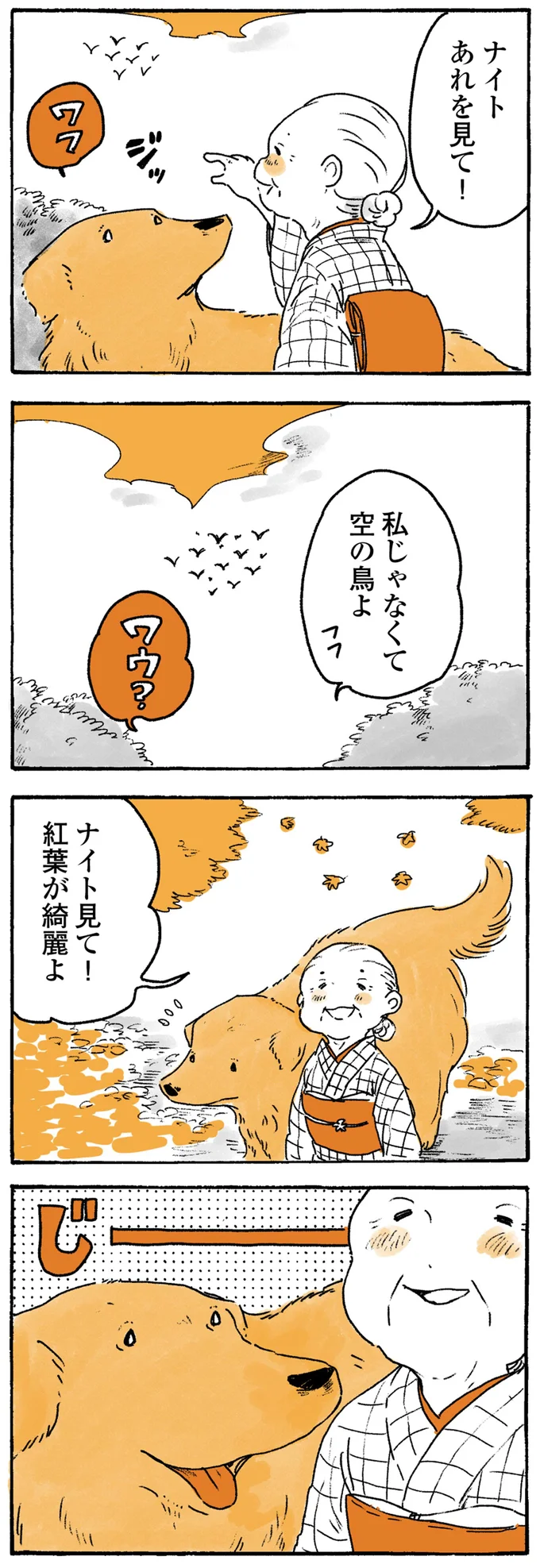 『姫ばあちゃんとナイト ふたりはきょうも』より