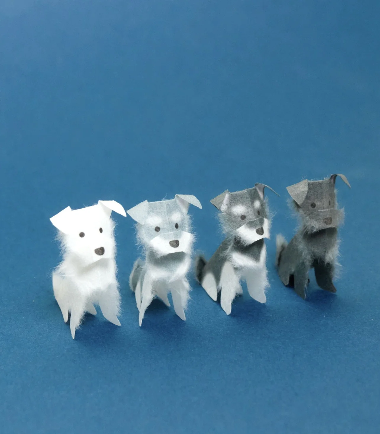 このふわふわ毛並み、本当に紙！？小さなミニチュアシュナウザーに