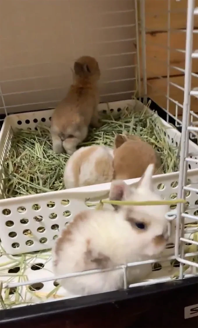 自由気ままに過ごしてる▶くんくん…（⇒次へ）