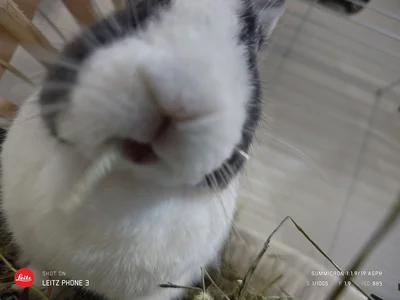 カメラが近づいてしまいます▶このアングル…神！（⇒次へ）