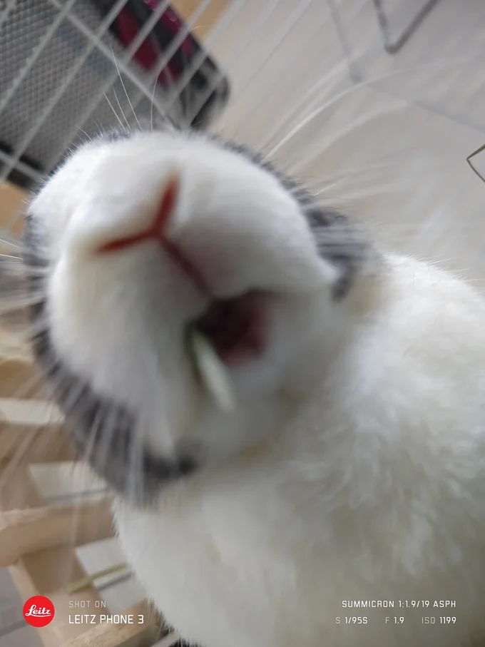 これはたまらない姿…！▶イスの下に…（⇒次へ）