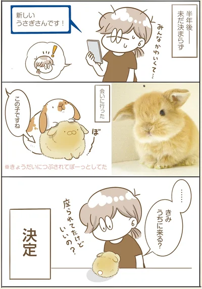 『うちのうさぎは今日ものんびり』より