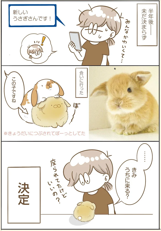 『うちのうさぎは今日ものんびり』より