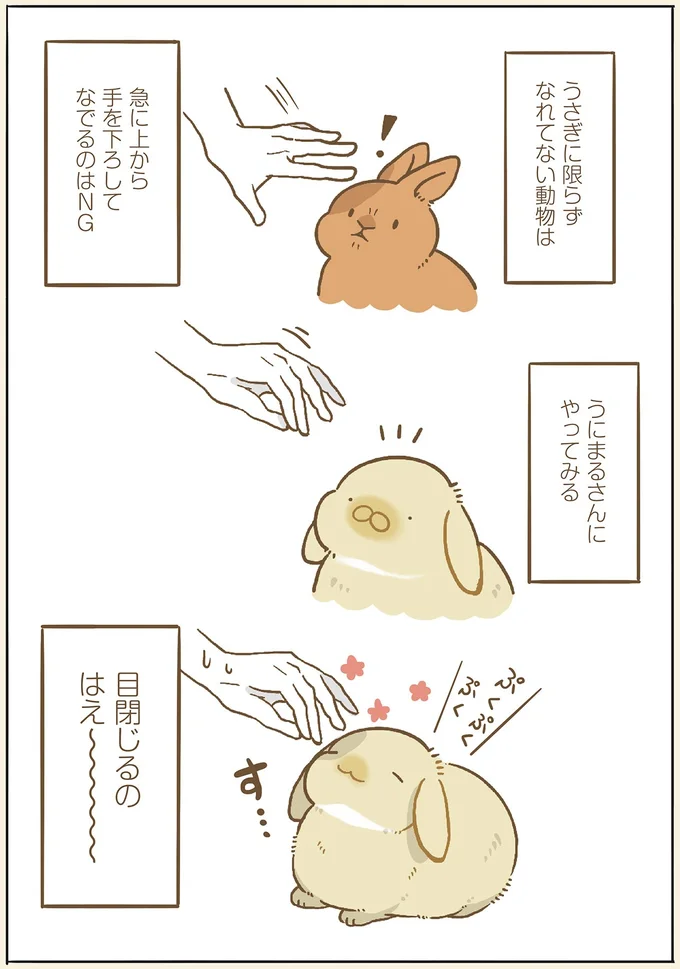 『うちのうさぎは今日ものんびり』より