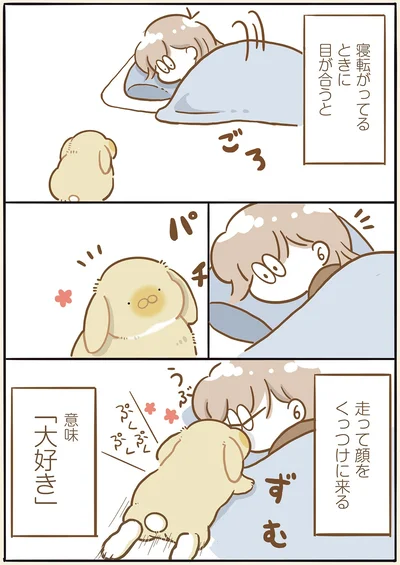 『うちのうさぎは今日ものんびり』より