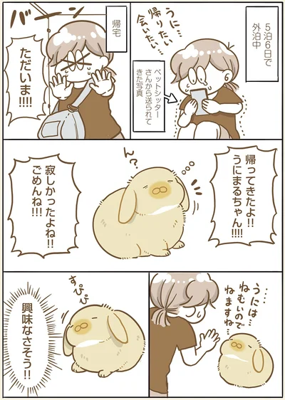 『うちのうさぎは今日ものんびり』より