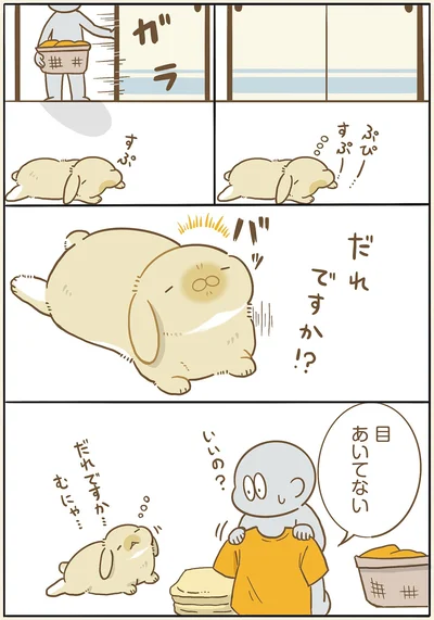 『うちのうさぎは今日ものんびり』より