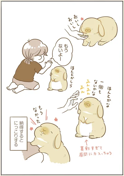 『うちのうさぎは今日ものんびり』より