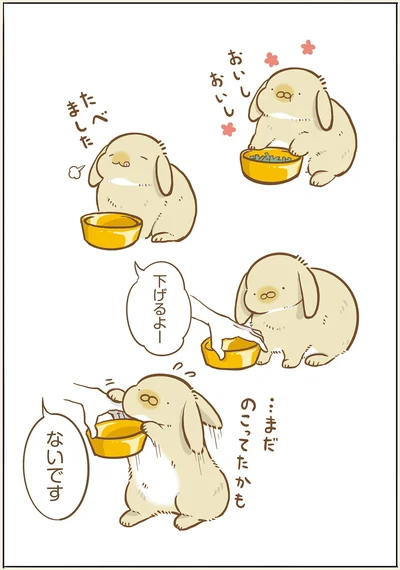『うちのうさぎは今日ものんびり』より