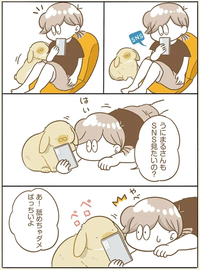 『うちのうさぎは今日ものんびり』より