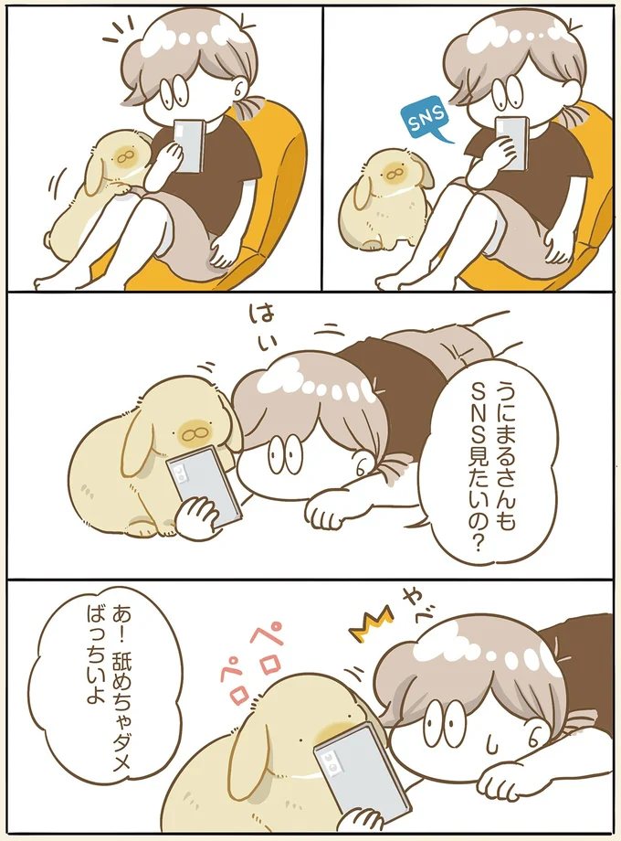 『うちのうさぎは今日ものんびり』より