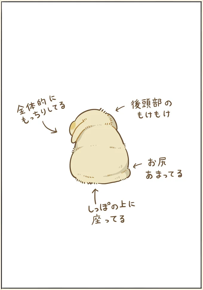 『うちのうさぎは今日ものんびり』より