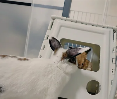 でも場所を代わるのは嫌みたいです▶睡魔と戦う…？（⇒次へ）