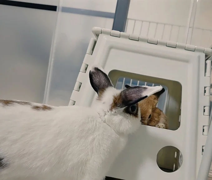 でも場所を代わるのは嫌みたいです▶睡魔と戦う…？（⇒次へ）