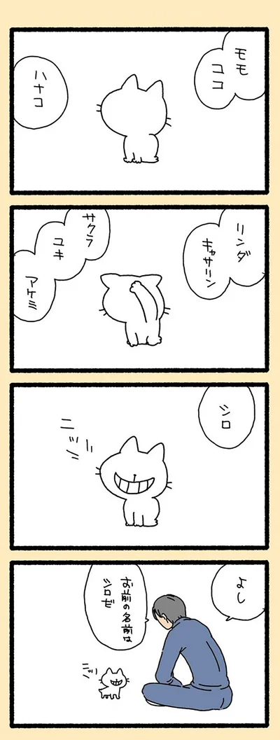 お前の名前はシロだ