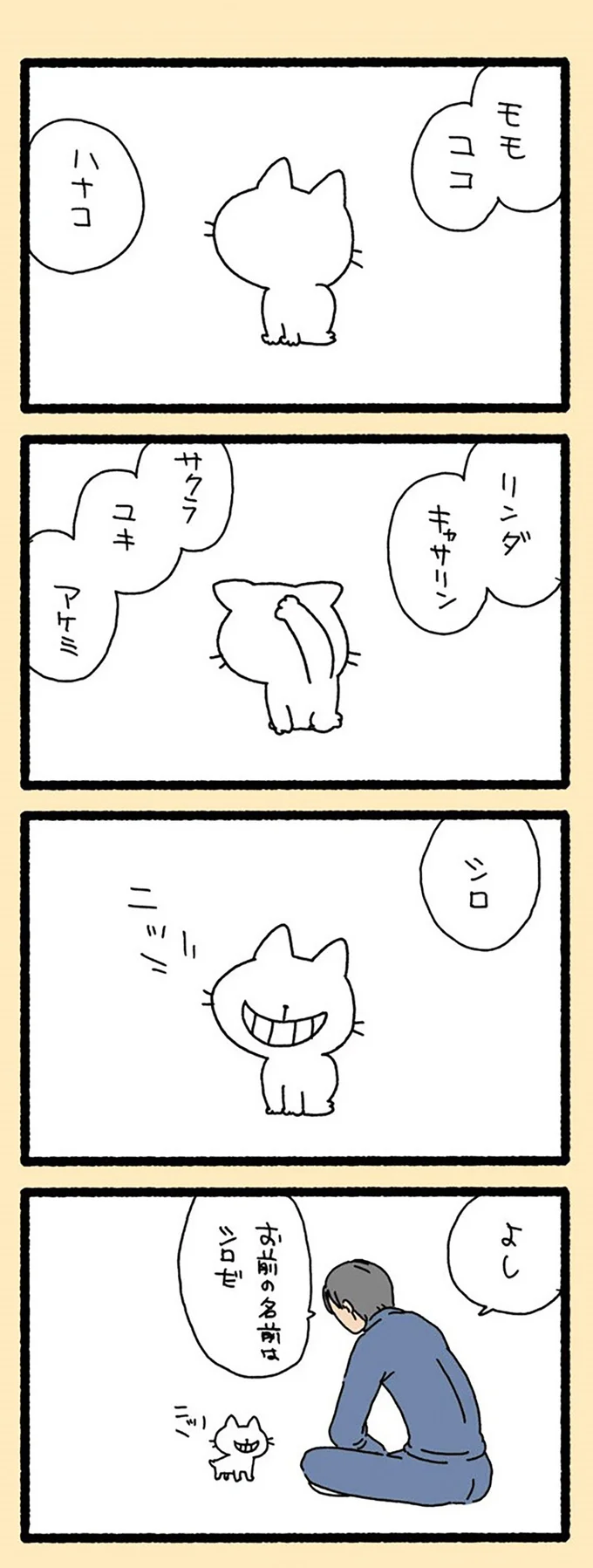 お前の名前はシロだ