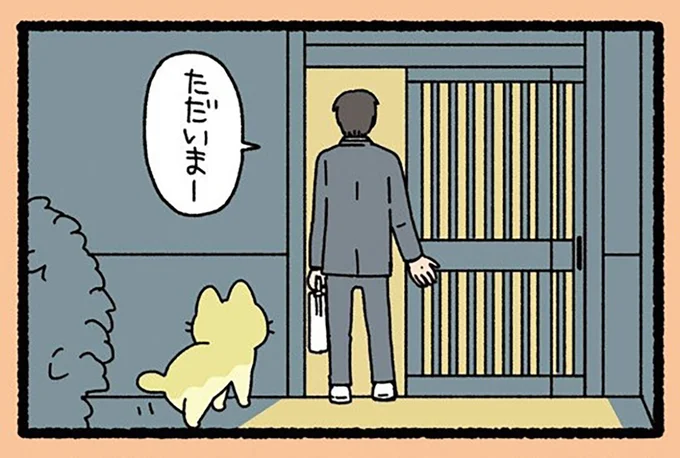 『ねこようかい』より