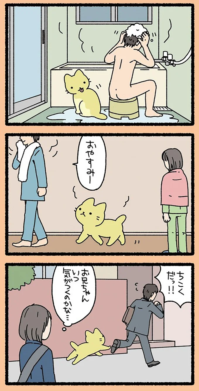 『ねこようかい』より
