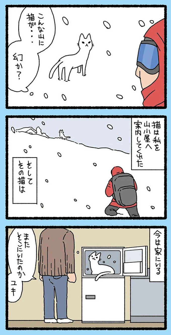 『ねこようかい』より