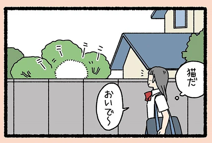 『ねこようかい ニッ』より