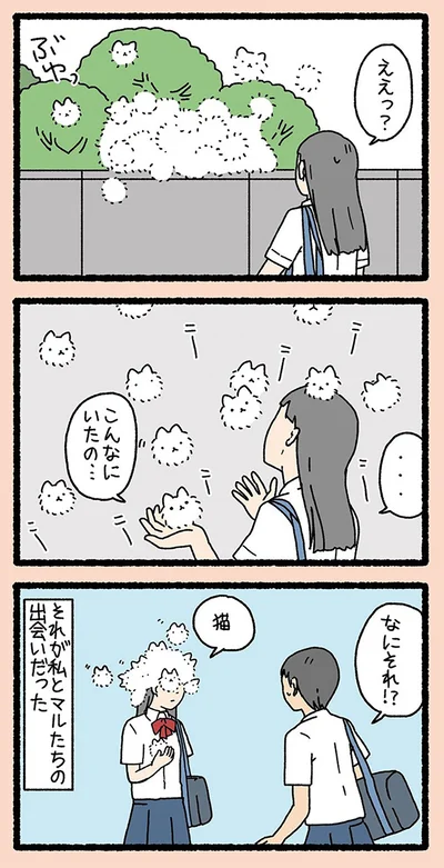 『ねこようかい ニッ』より