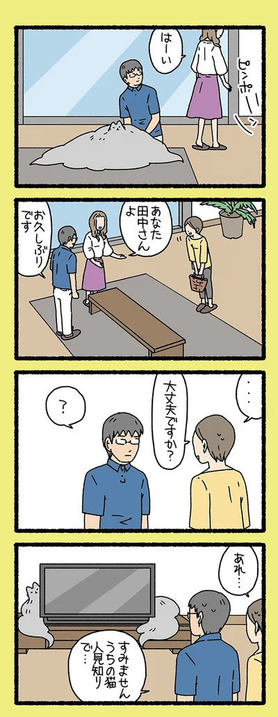 『ねこようかい ニッ』より