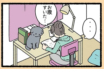 『ねこようかい ミー!』より