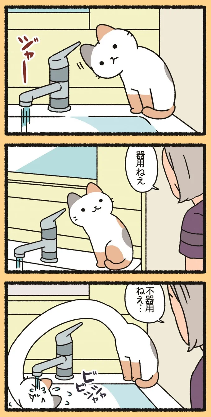 『ねこようかい ショキショキ』より