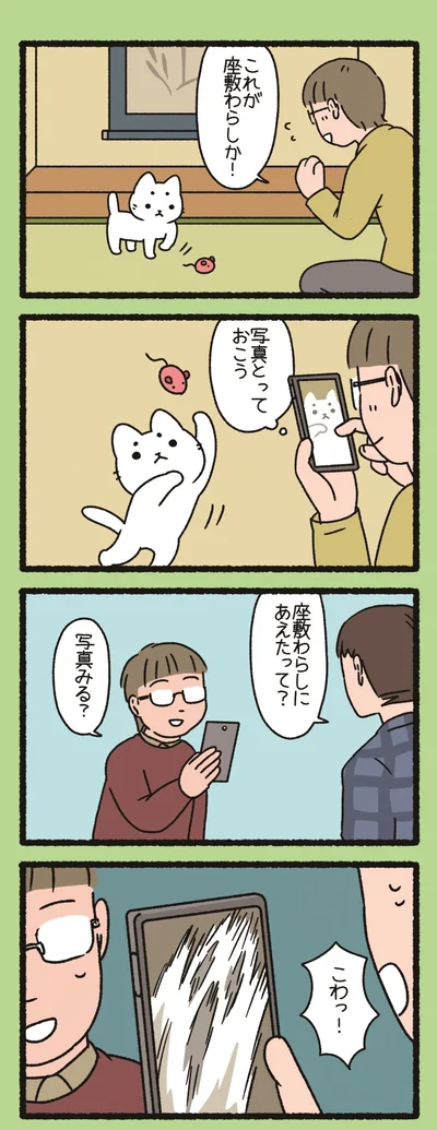 『ねこようかい ショキショキ』より