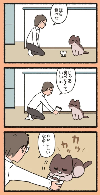 『ねこようかい ゴロゴロ』より