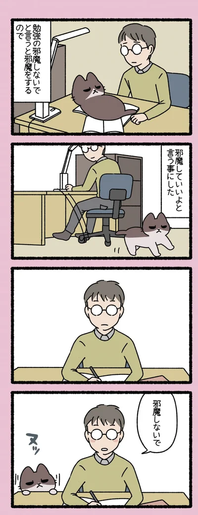 『ねこようかい なーお!』より