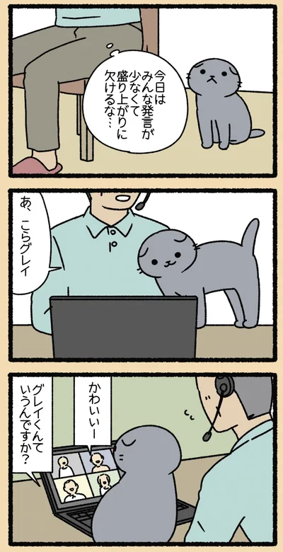 『ねこようかい なーお!』より