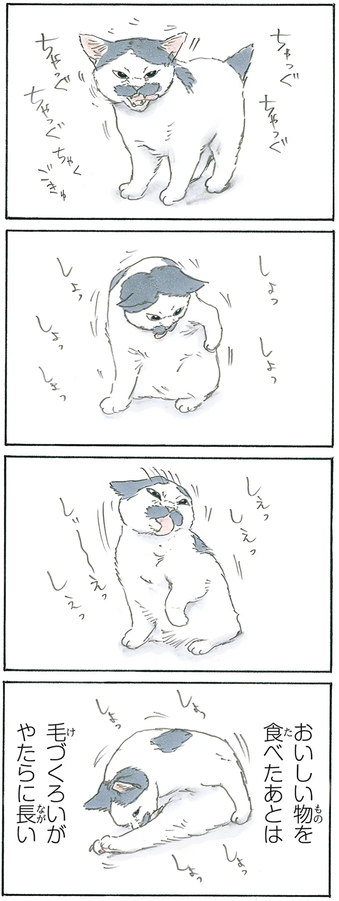 『拾い猫のモチャ7』より