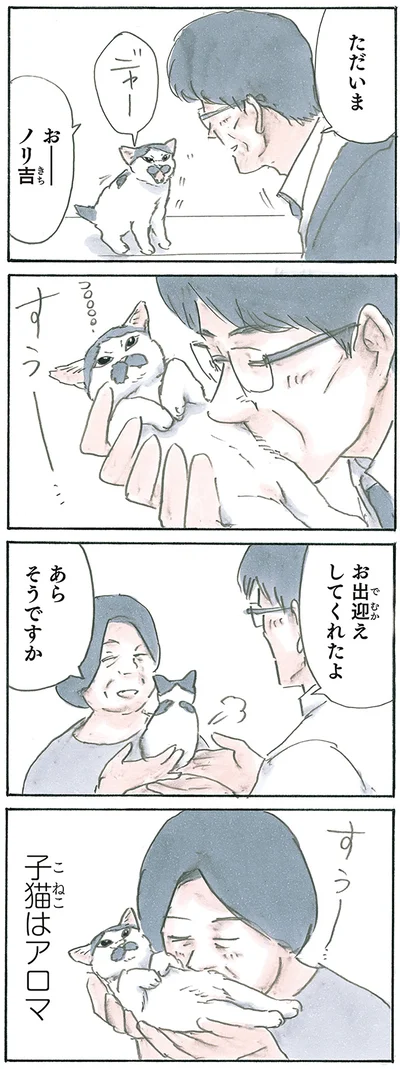 『拾い猫のモチャ7』より