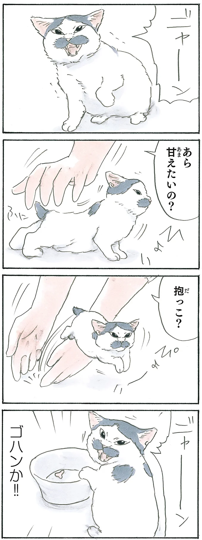 『拾い猫のモチャ7』より