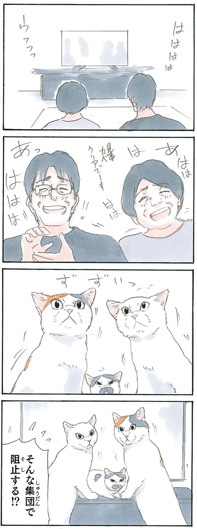 『拾い猫のモチャ7』より