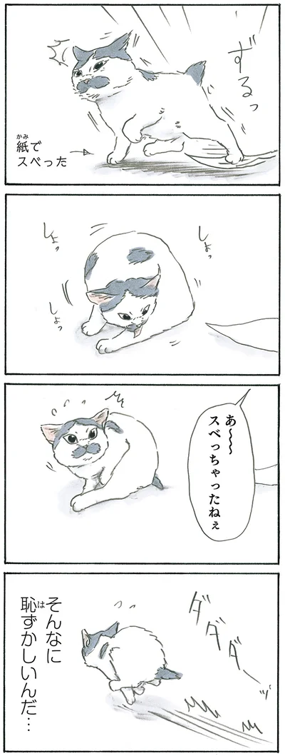 『拾い猫のモチャ7』より