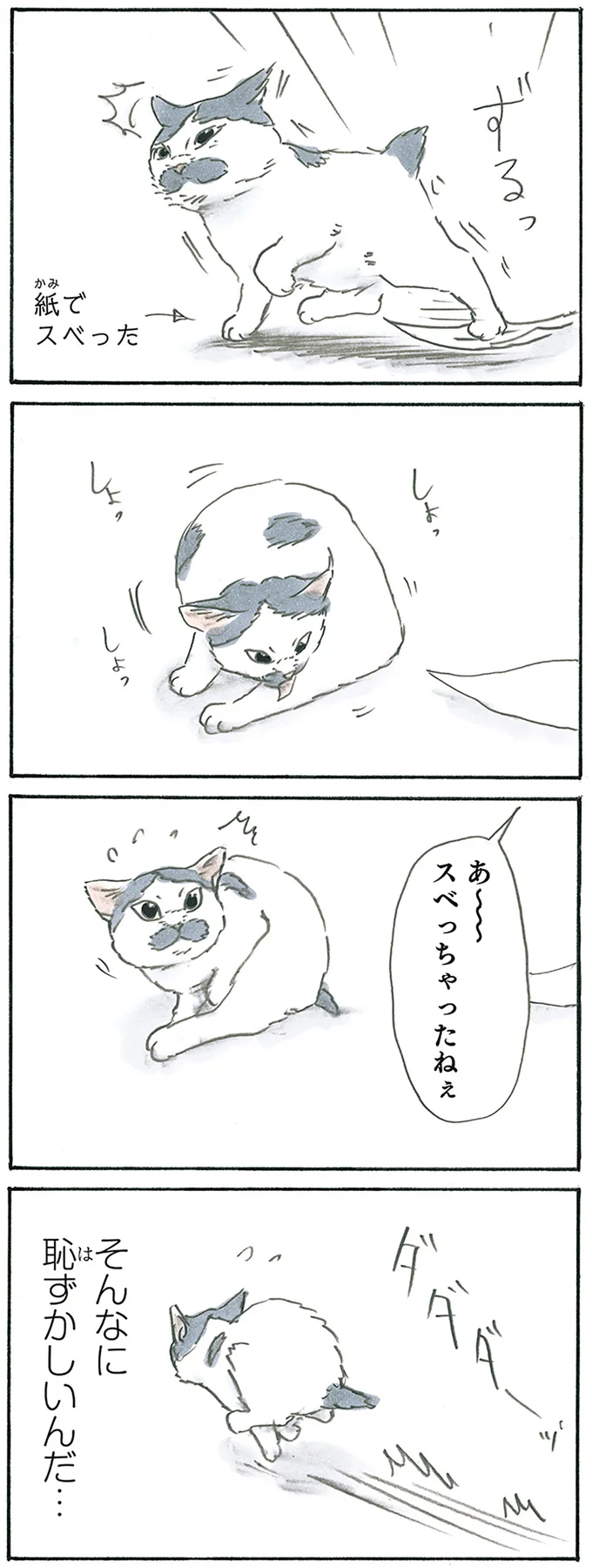 『拾い猫のモチャ7』より