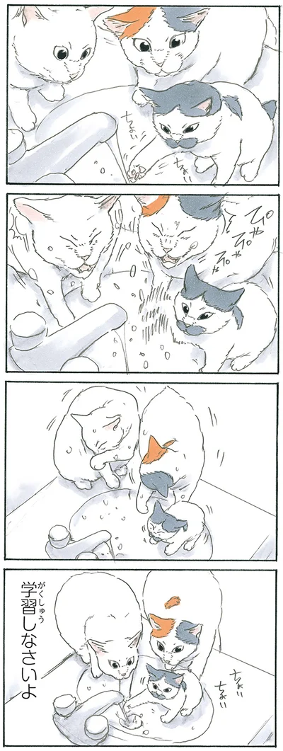 『拾い猫のモチャ7』より