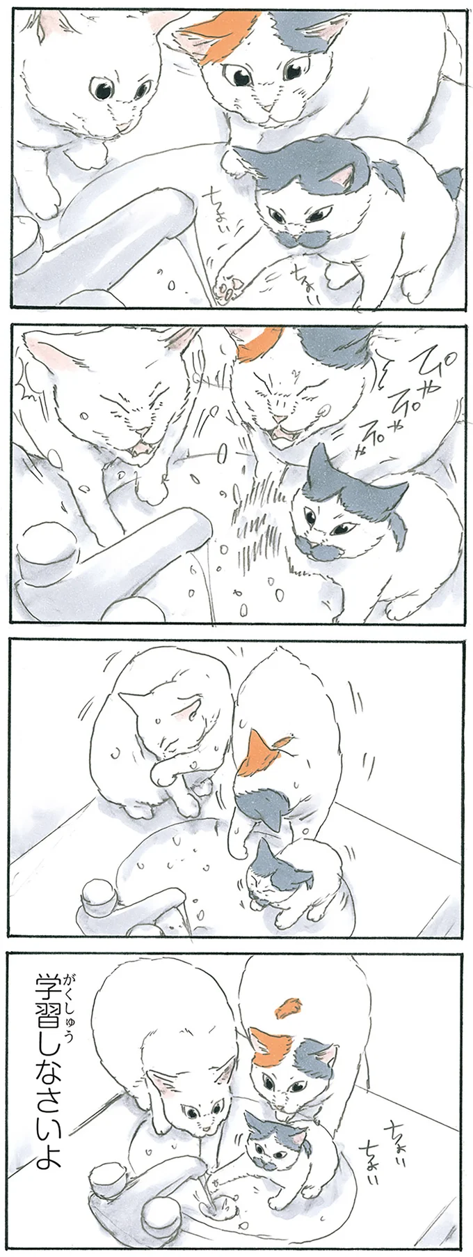 『拾い猫のモチャ7』より