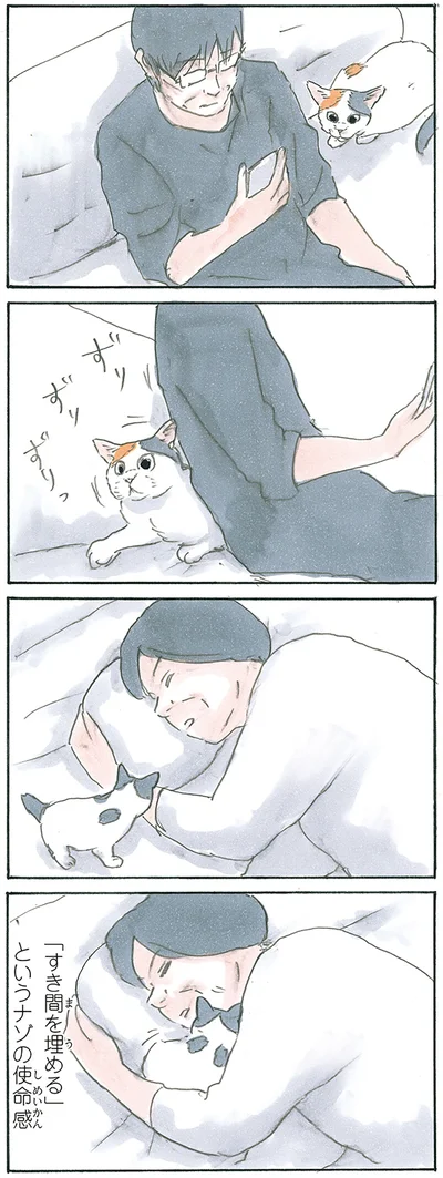 『拾い猫のモチャ7』より