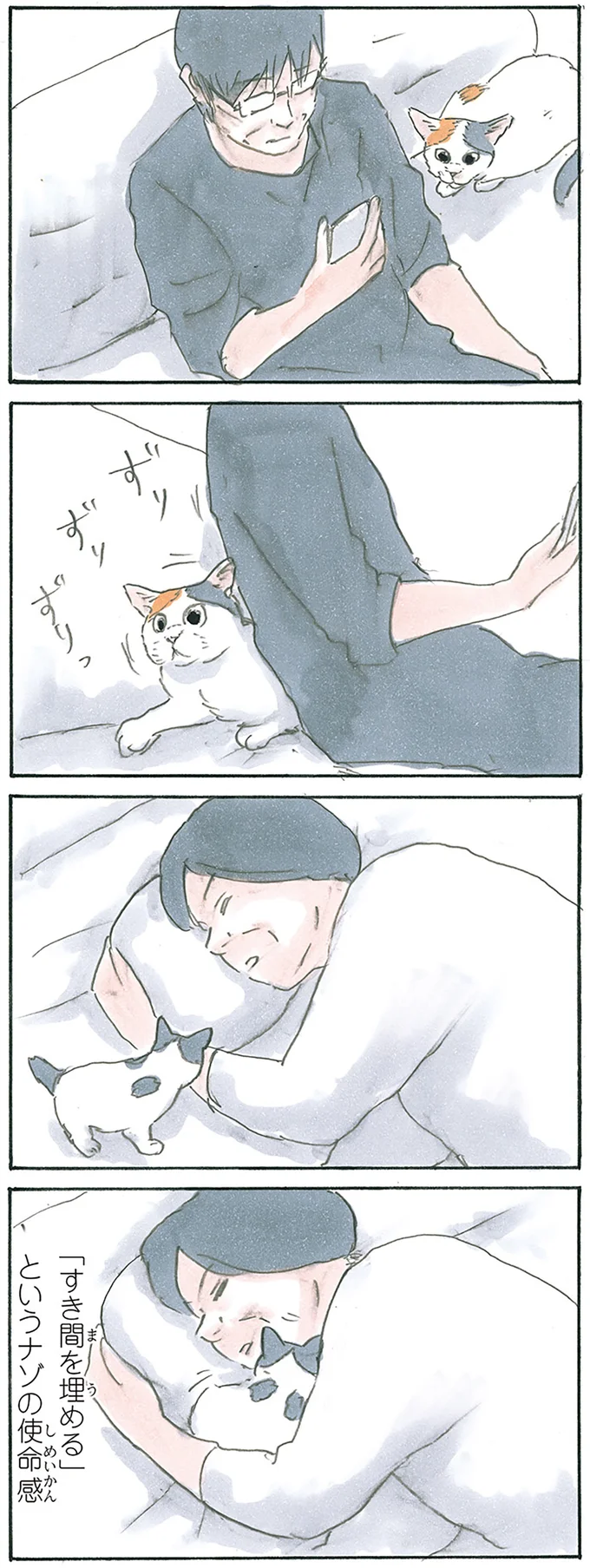 『拾い猫のモチャ7』より