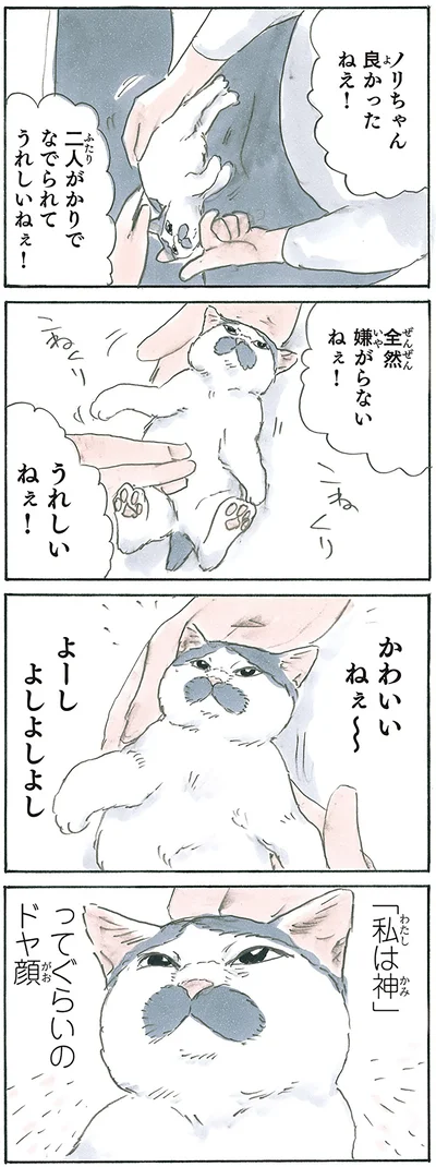 『拾い猫のモチャ7』より