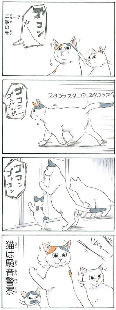 『拾い猫のモチャ7』より