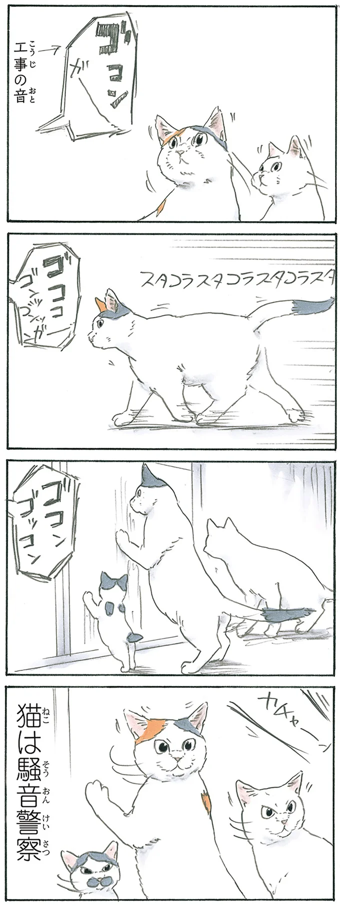 『拾い猫のモチャ7』より