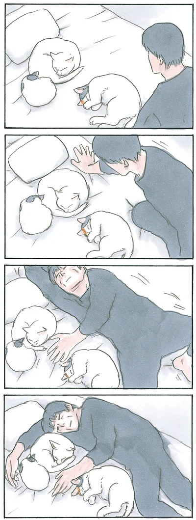 『拾い猫のモチャ7』より