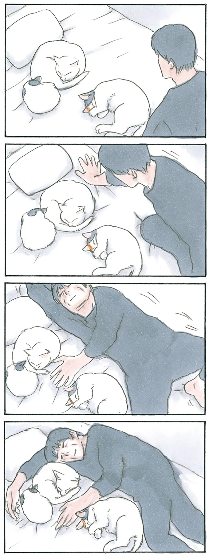 『拾い猫のモチャ7』より