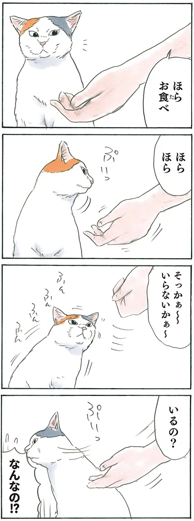 『拾い猫のモチャ7』より
