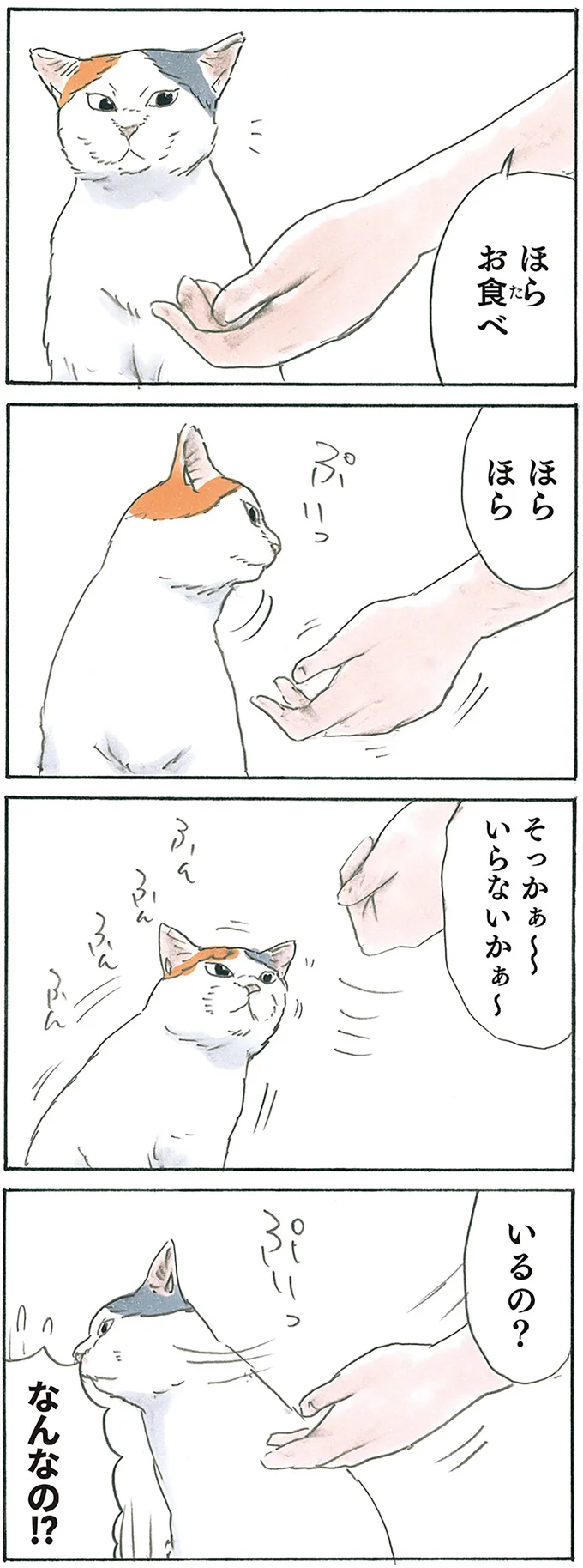 『拾い猫のモチャ7』より