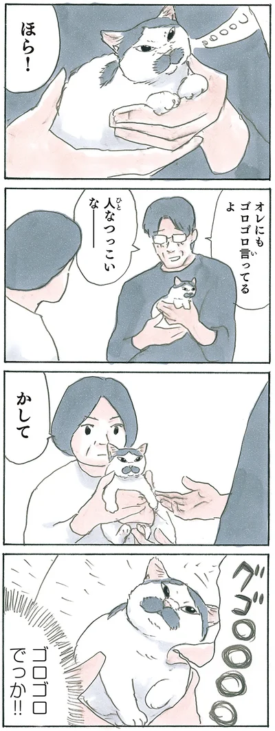 『拾い猫のモチャ7』より